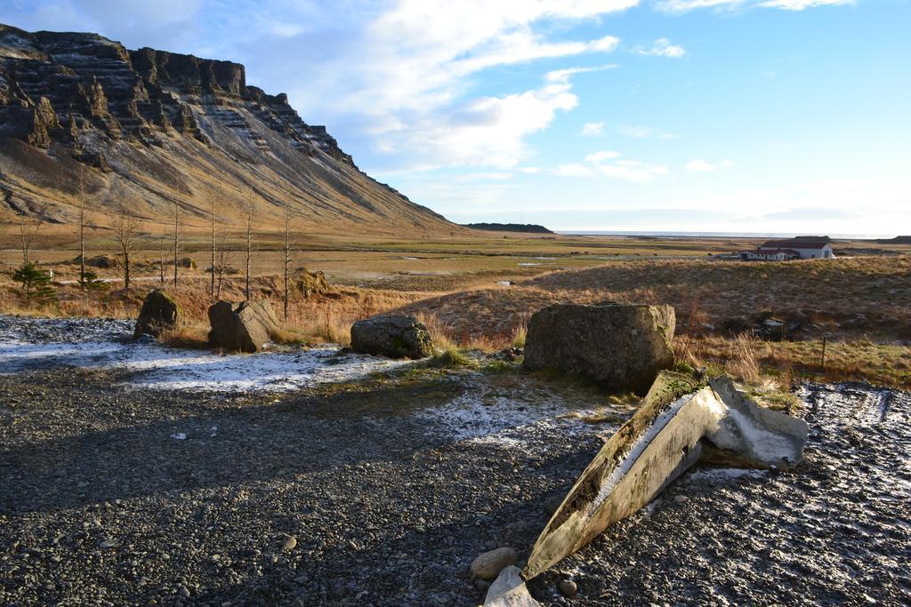 Lækjarhus Farm Holidays Borgarhöfn Eksteriør bilde